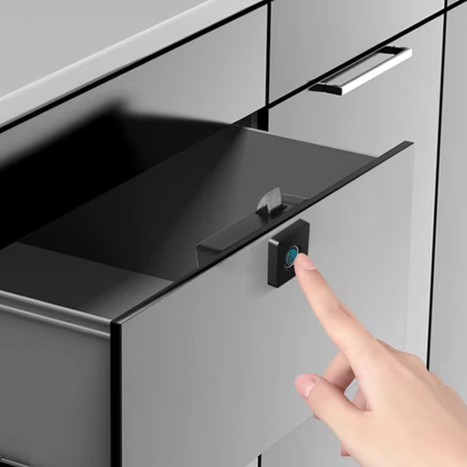 LXT4-Tuya WiFi Fingerprint for Wardrobe, Cupboard Cabinet, Drawer lock office..